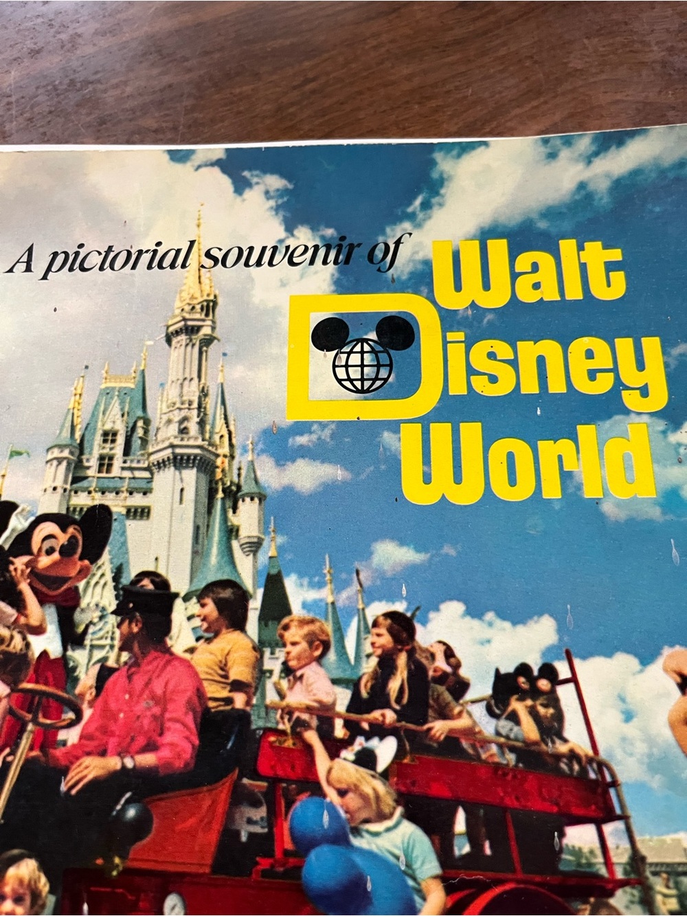 Disney Walt Disney World Vintage Souvenir Art